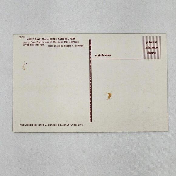 Vintage New Color Photo Post Card Mossy Cave Trail Bryce National Park - Picture 3 of 5